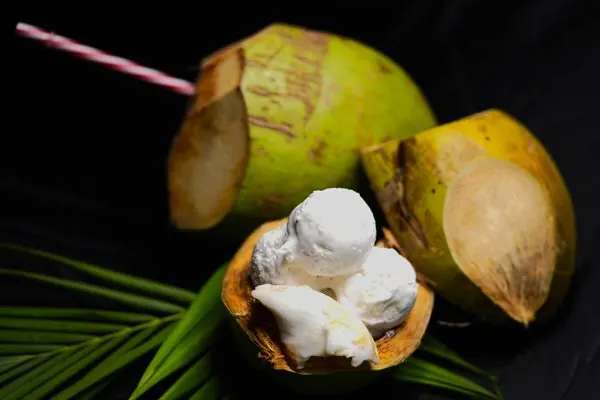 Glace – Noix de coco